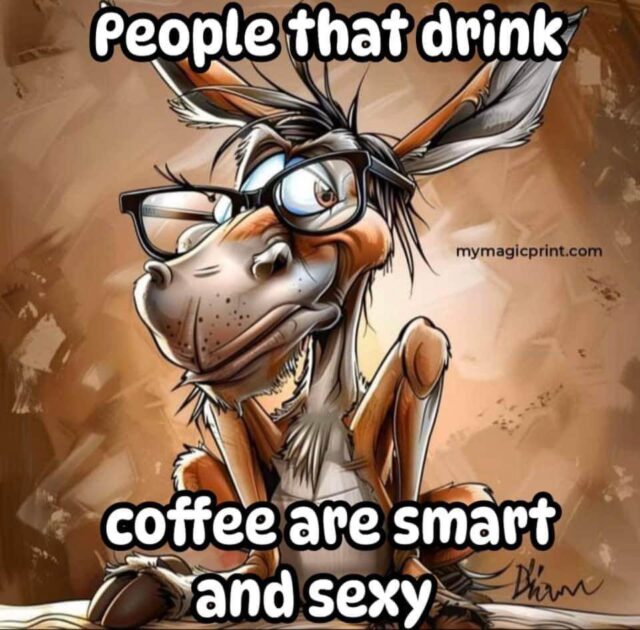 coffee smart and sexy